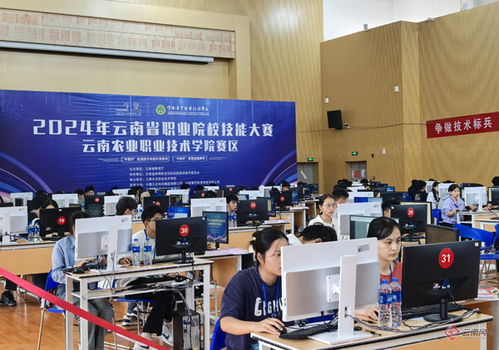 軟件英才聚云農(nóng)職，系統(tǒng)開發(fā)展技能風(fēng)采——全省26所高職院校應(yīng)用軟件系統(tǒng)開發(fā)競賽側(cè)記